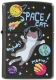 218-C-000046 Space Cat
