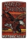48602 Harley-DavidsonR Flying Eagle Design